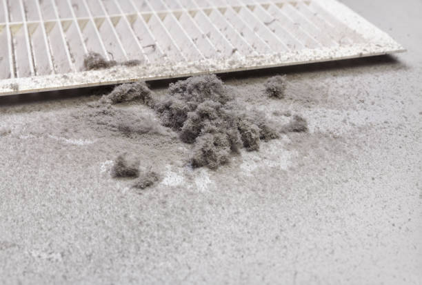 Best Affordable Duct Cleaning Services  in Greenwood, IN