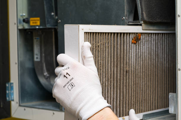 Best Duct Cleaning for Homes  in Greenwood, IN